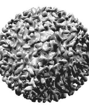 HbsAg (hepatitas B)